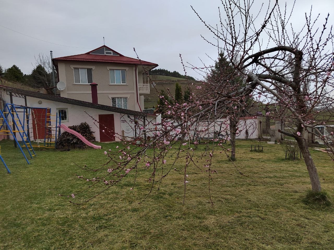 Плодовый сад на участке элитного дома в Кисловодске